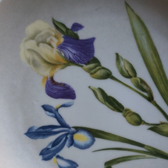 VTG AK Kaiser Plate - Picture 2 of 6